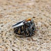 Tiger Eye Men's Ring, Eagle Men's Ring, Handmade Men's Ring, Turkish Handmade Mens Ring, Men's Jewelry, Gift for Him, 925 Sterling Silver